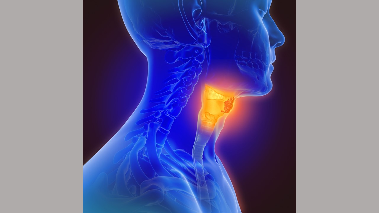 Researchers Create Comprehensive Database of Head and Neck